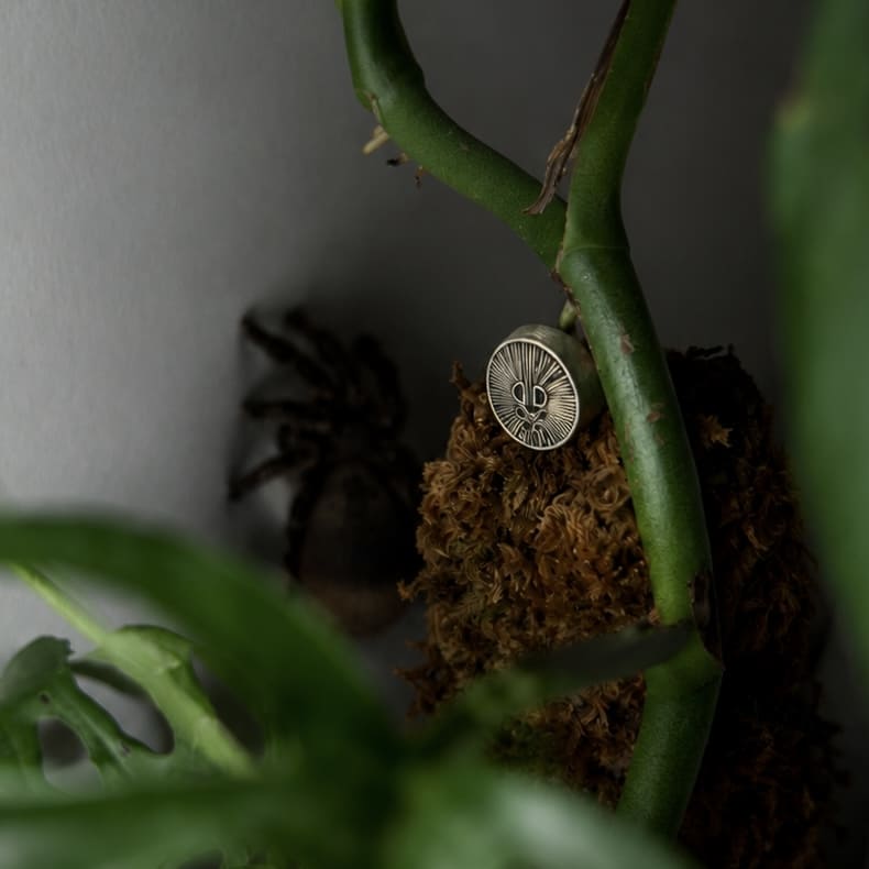 Spider ring
