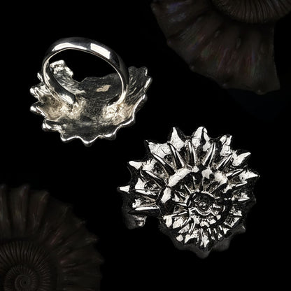 Big spiral ring