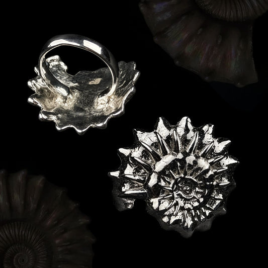 Big spiral ring