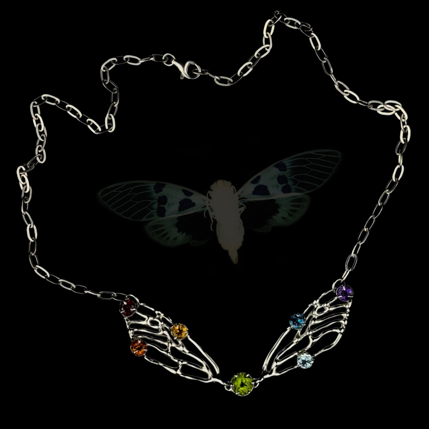 Metamorphosis rainbow