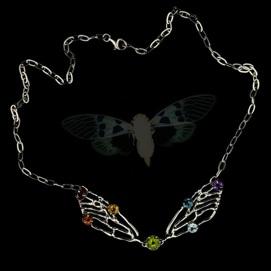 Metamorphosis rainbow