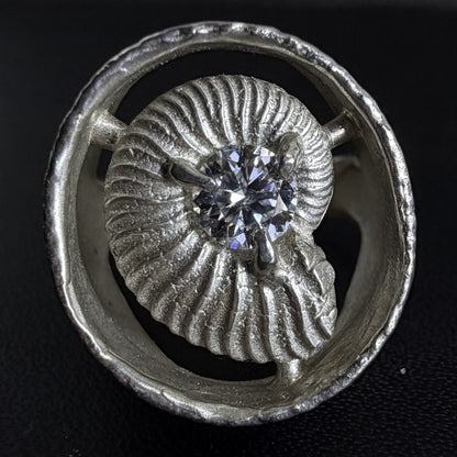 Ammonite ring