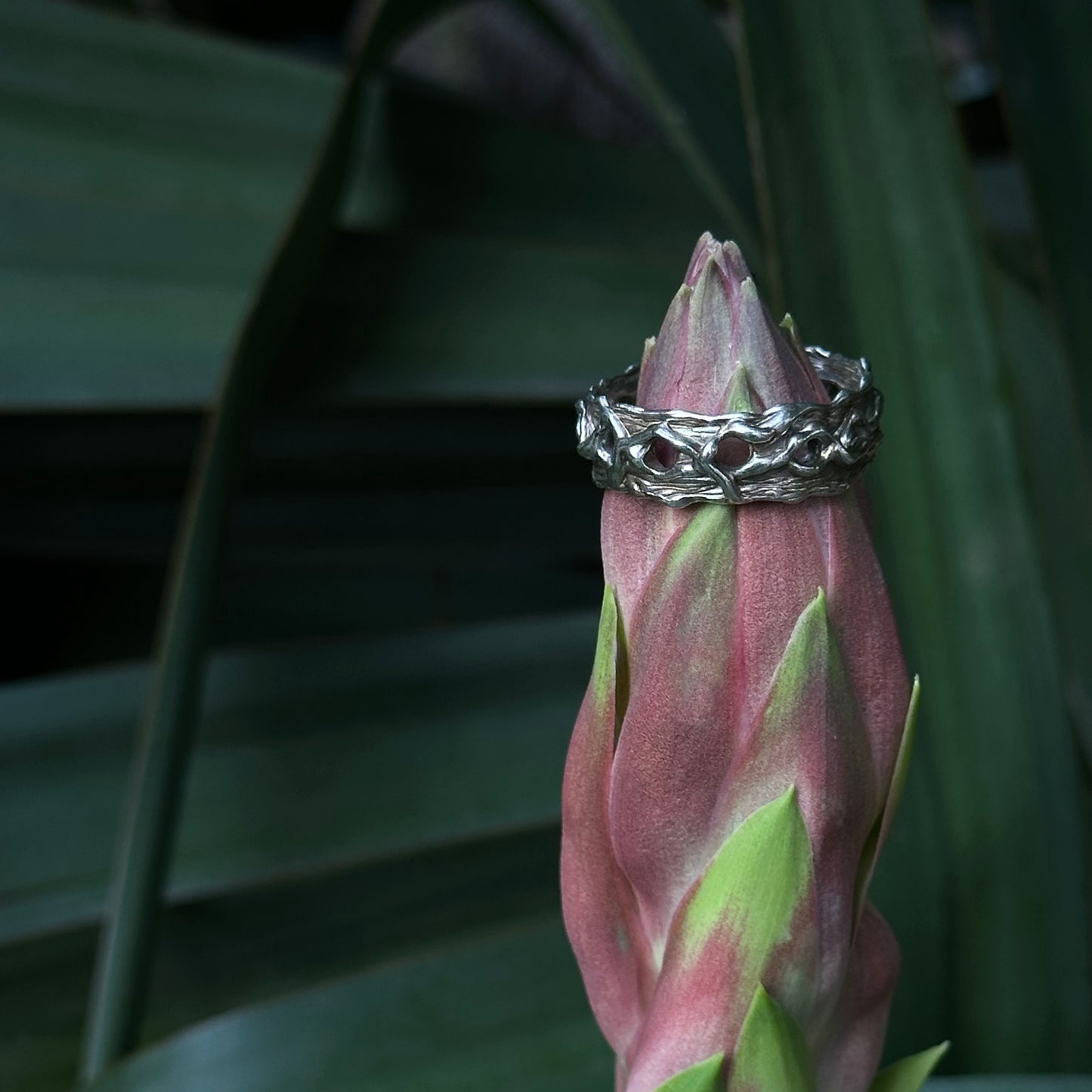 Bark ring