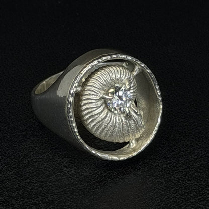 Ammonite ring