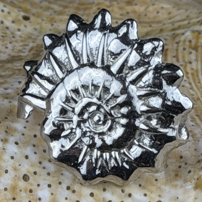 Big spiral ring