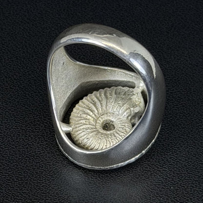 Ammonite ring
