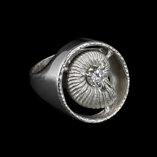 Ammonite ring