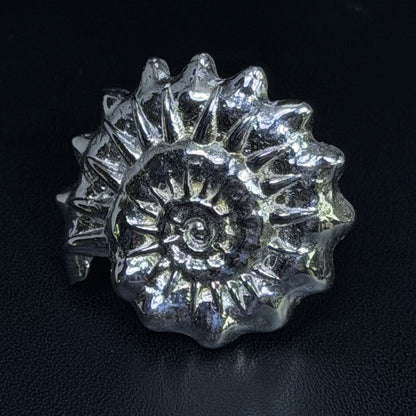 Ammonite ring