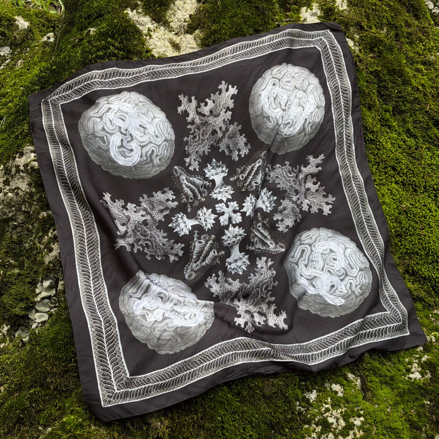 Scarf “Haeckel”