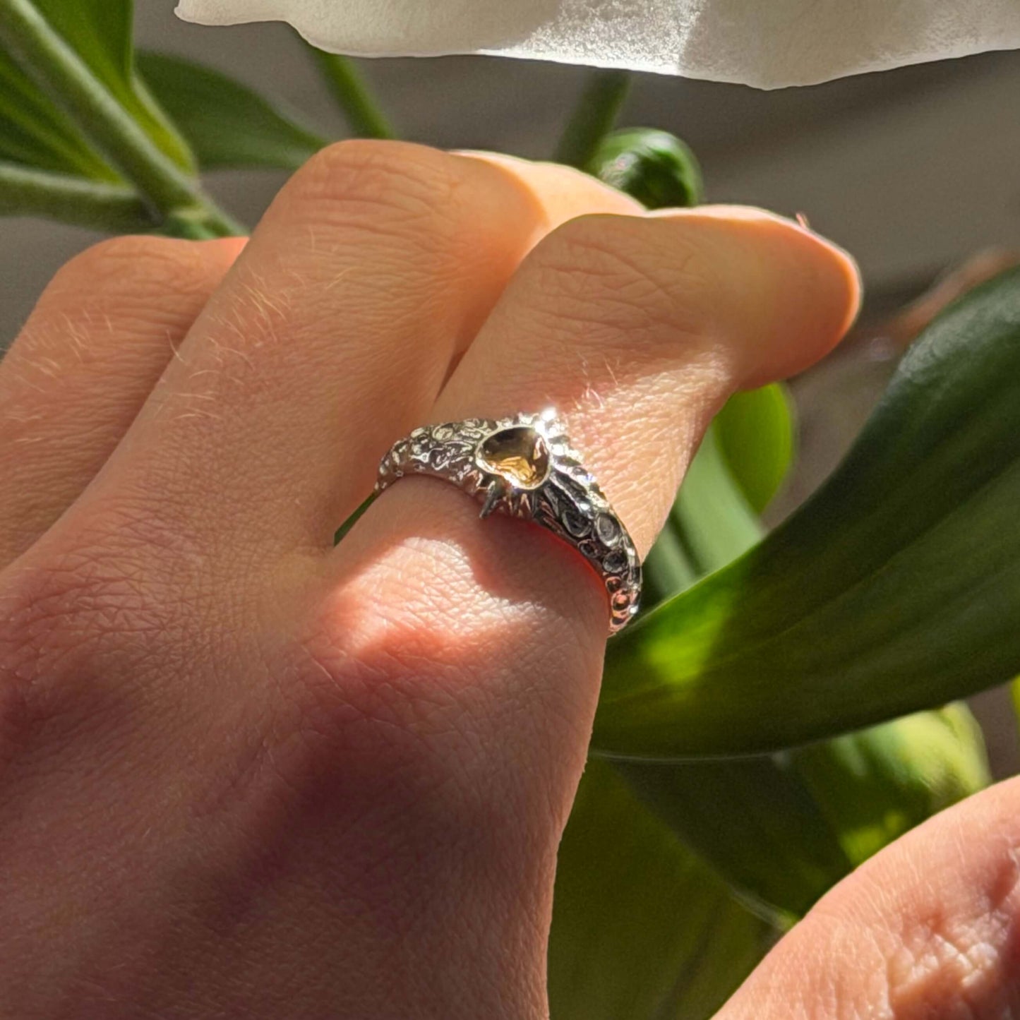 Radiolaria ring