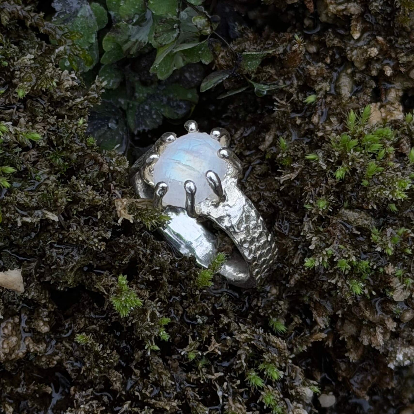 Lizard ring
