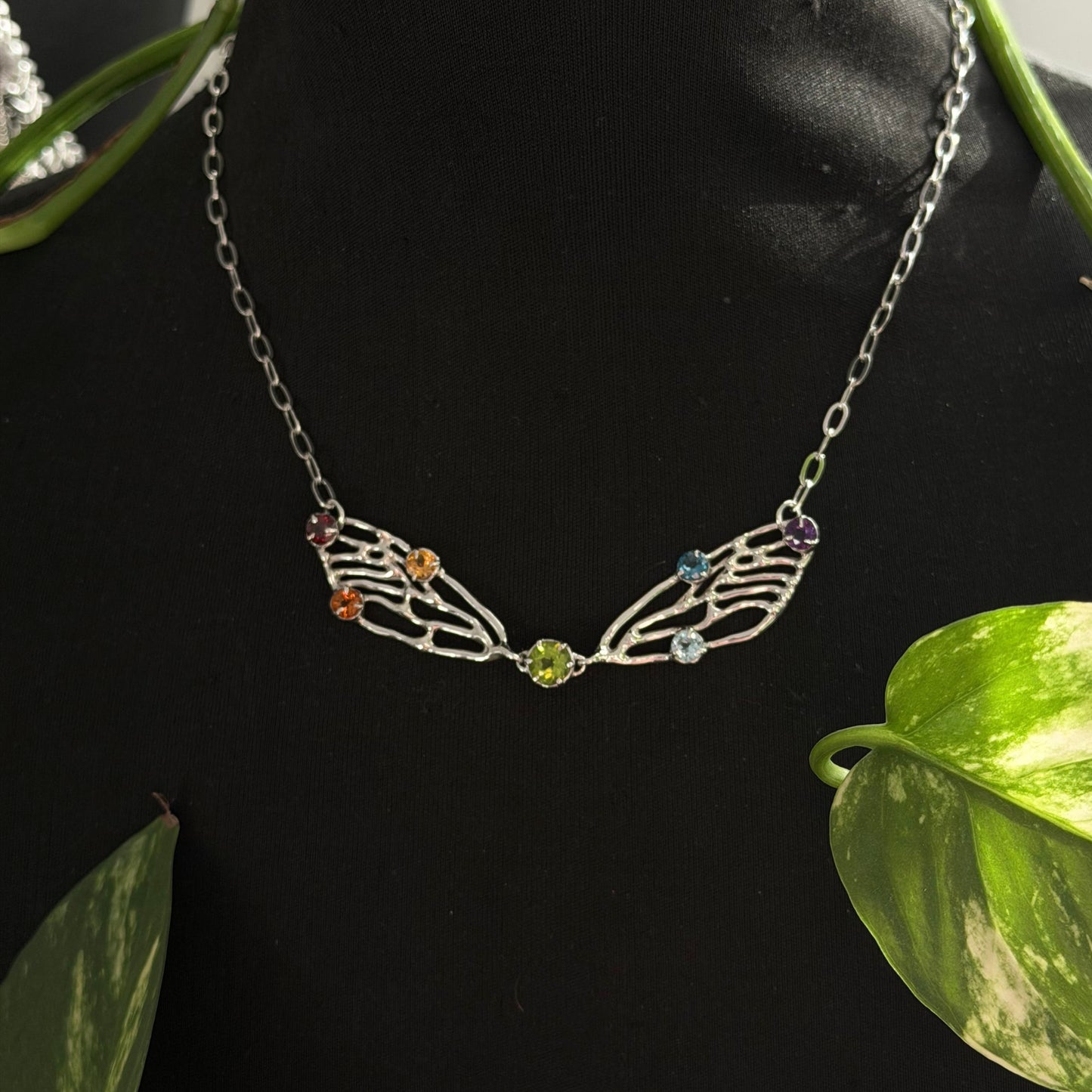 Metamorphosis rainbow