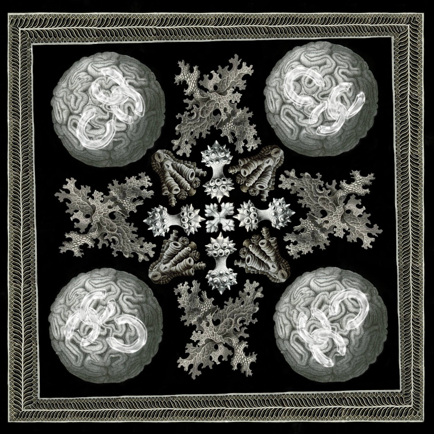 Scarf “Haeckel”