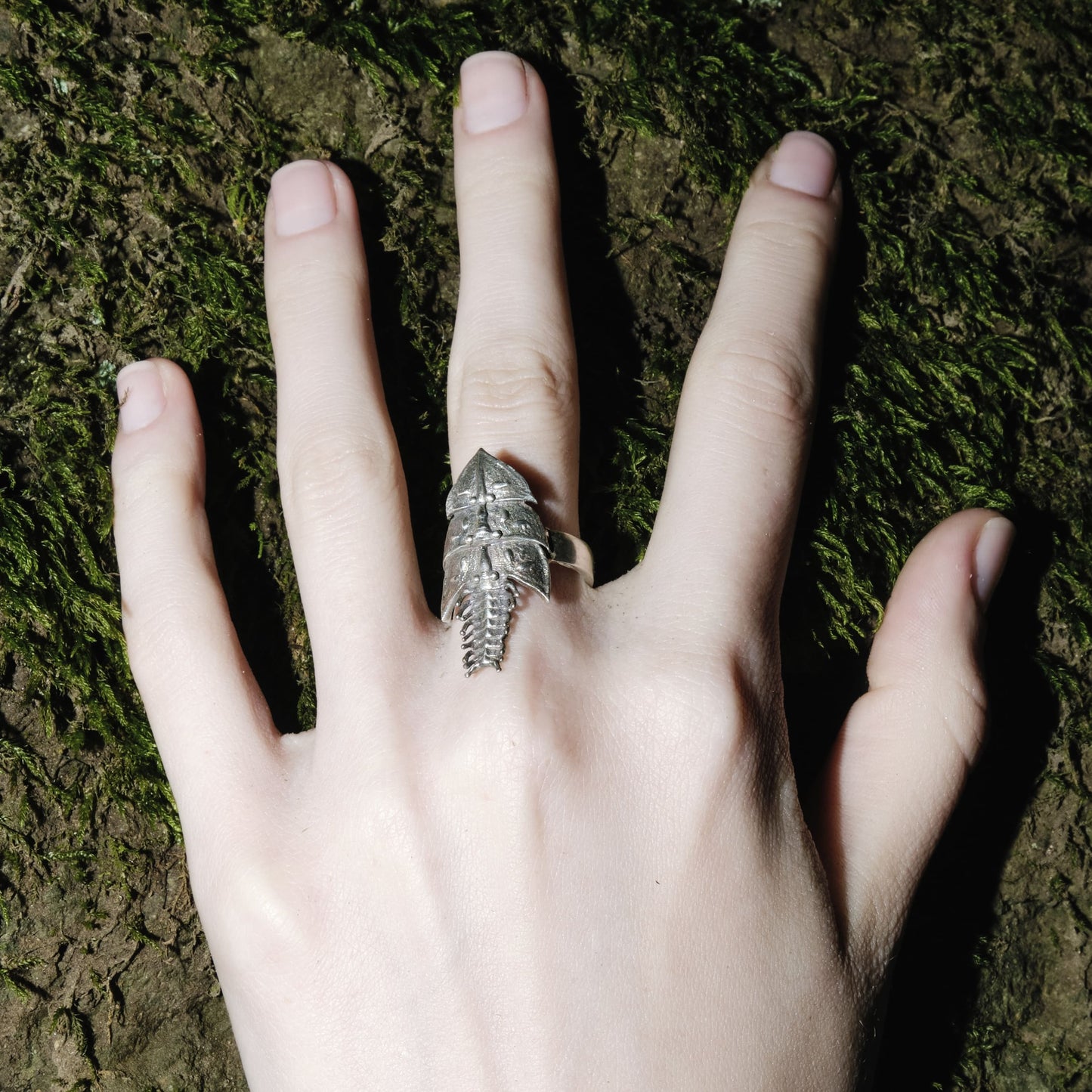 Trilobite ring