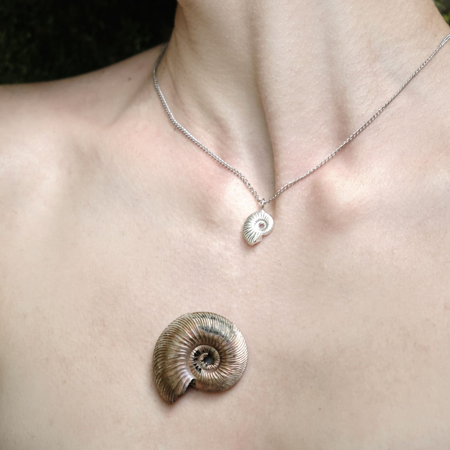 Ammonite pendant