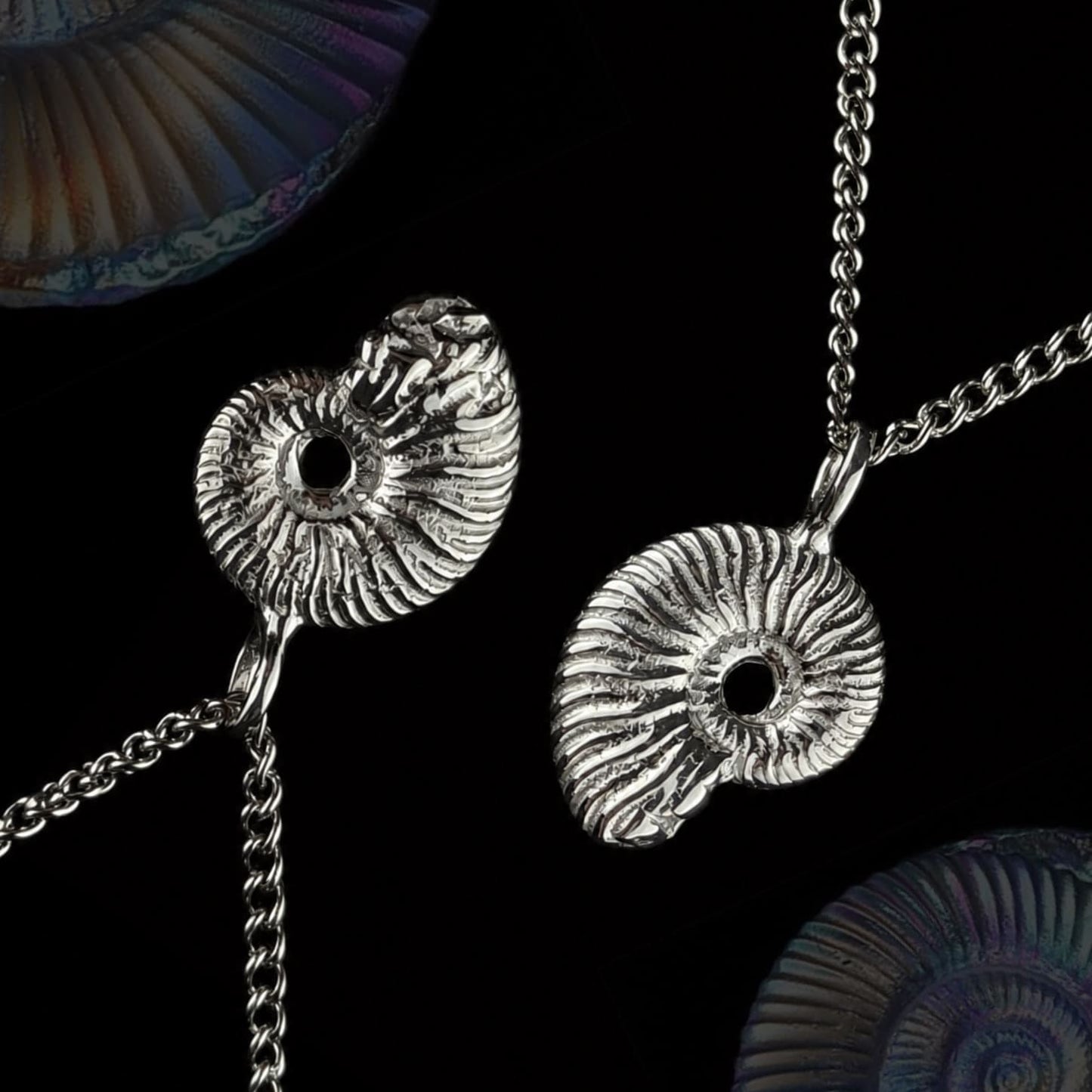 Ammonite pendant