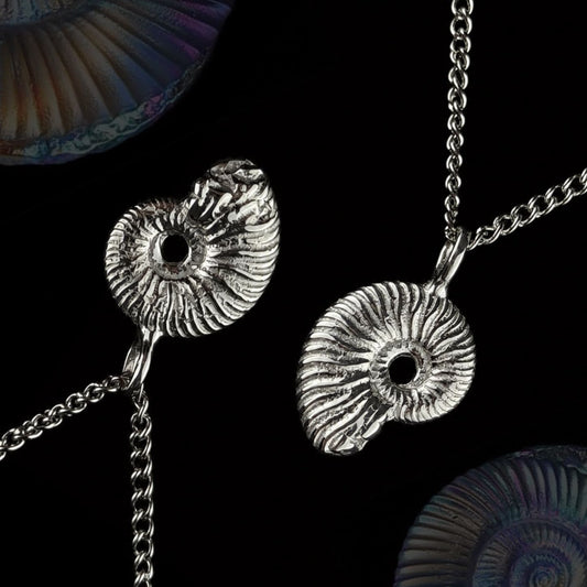 Ammonite pendant
