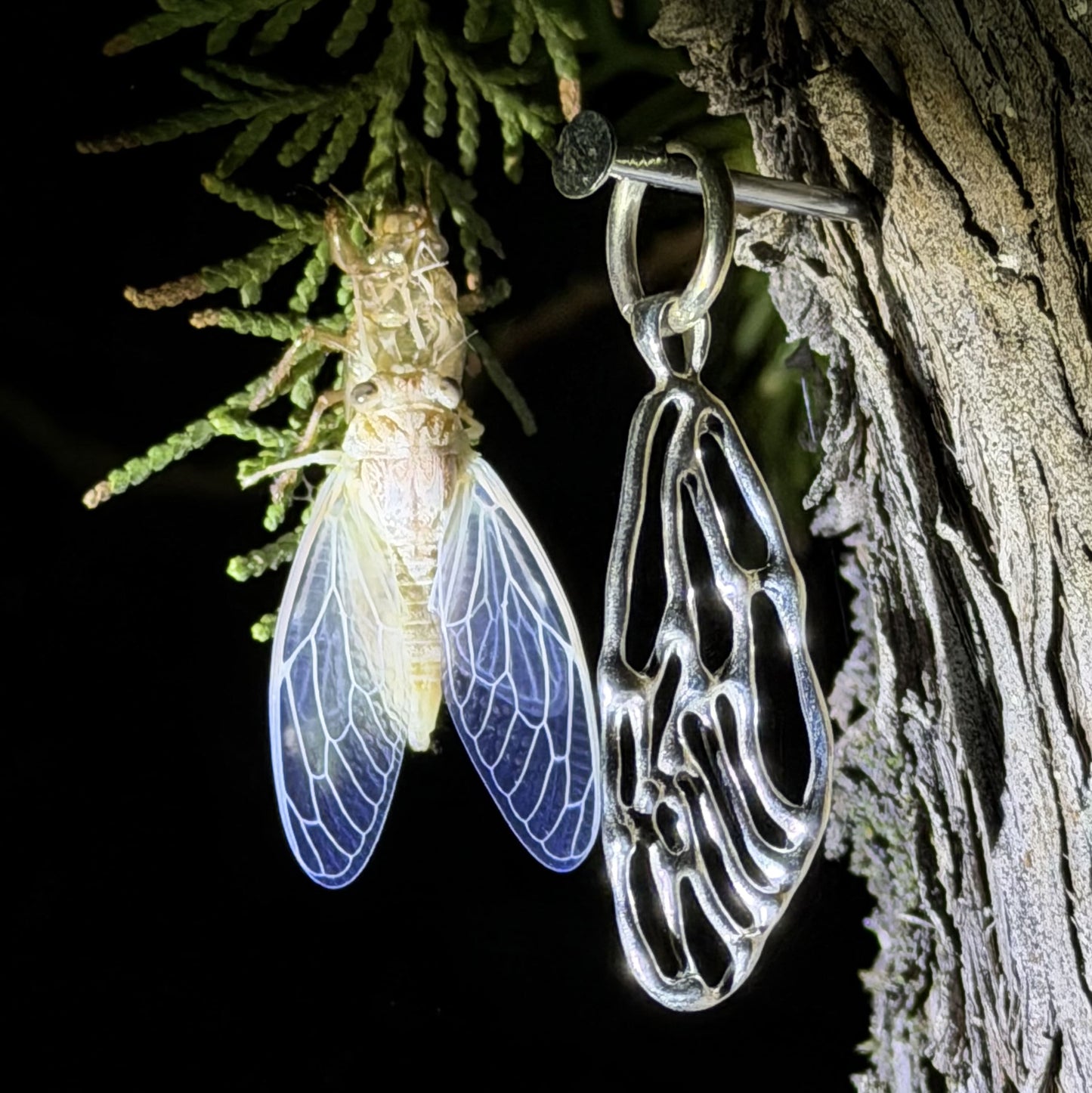 Wing earring