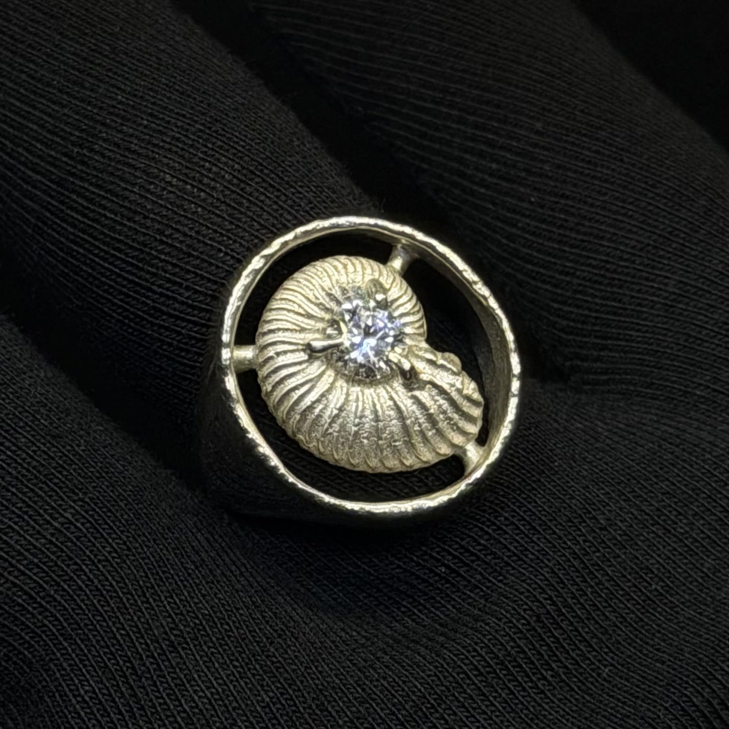 Ammonite ring