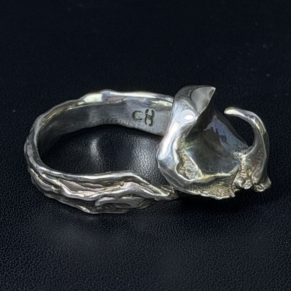 Rhinoceros beetle ring