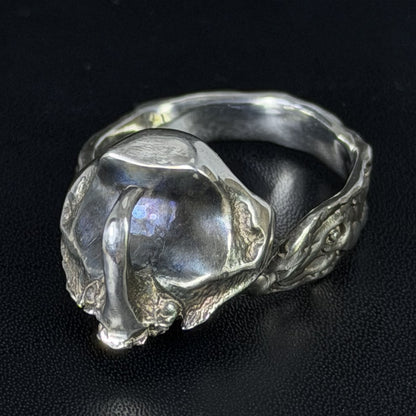 Rhinoceros beetle ring