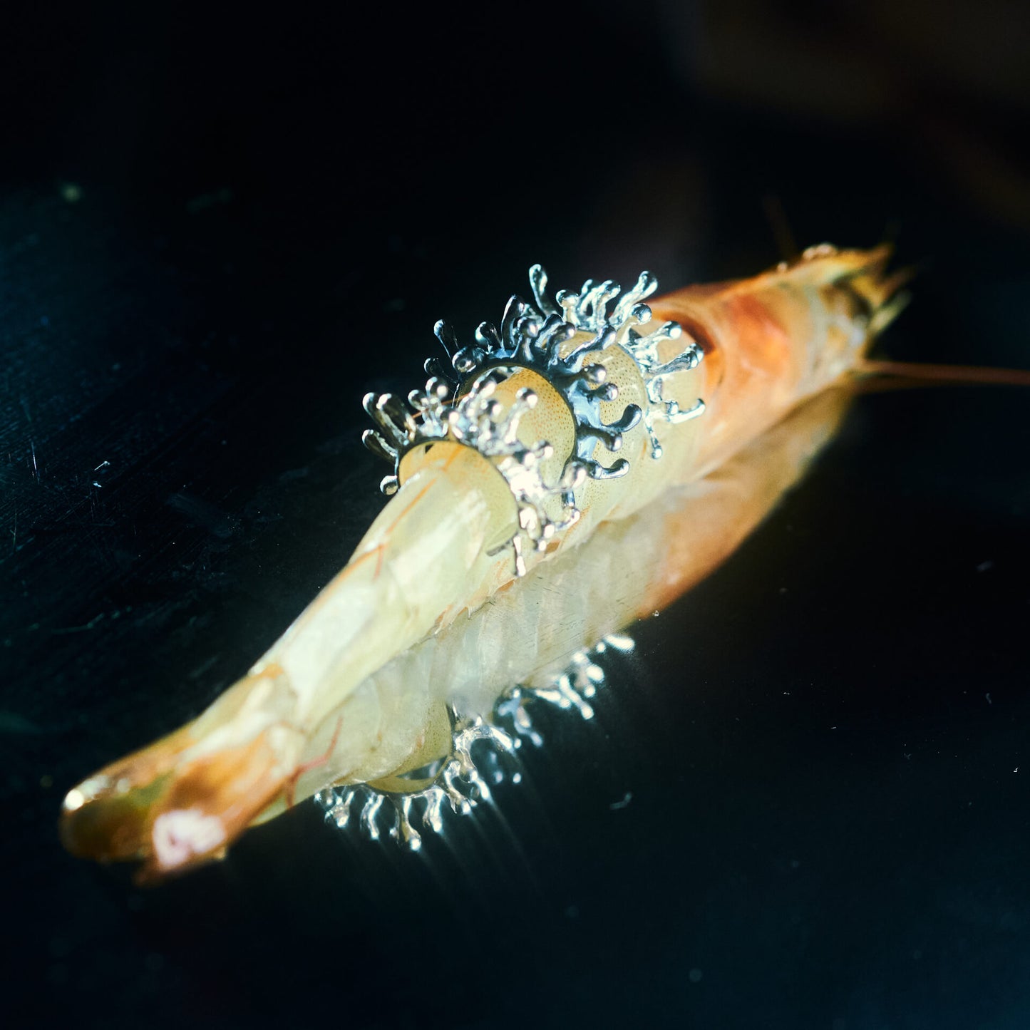 Hydra earcuff