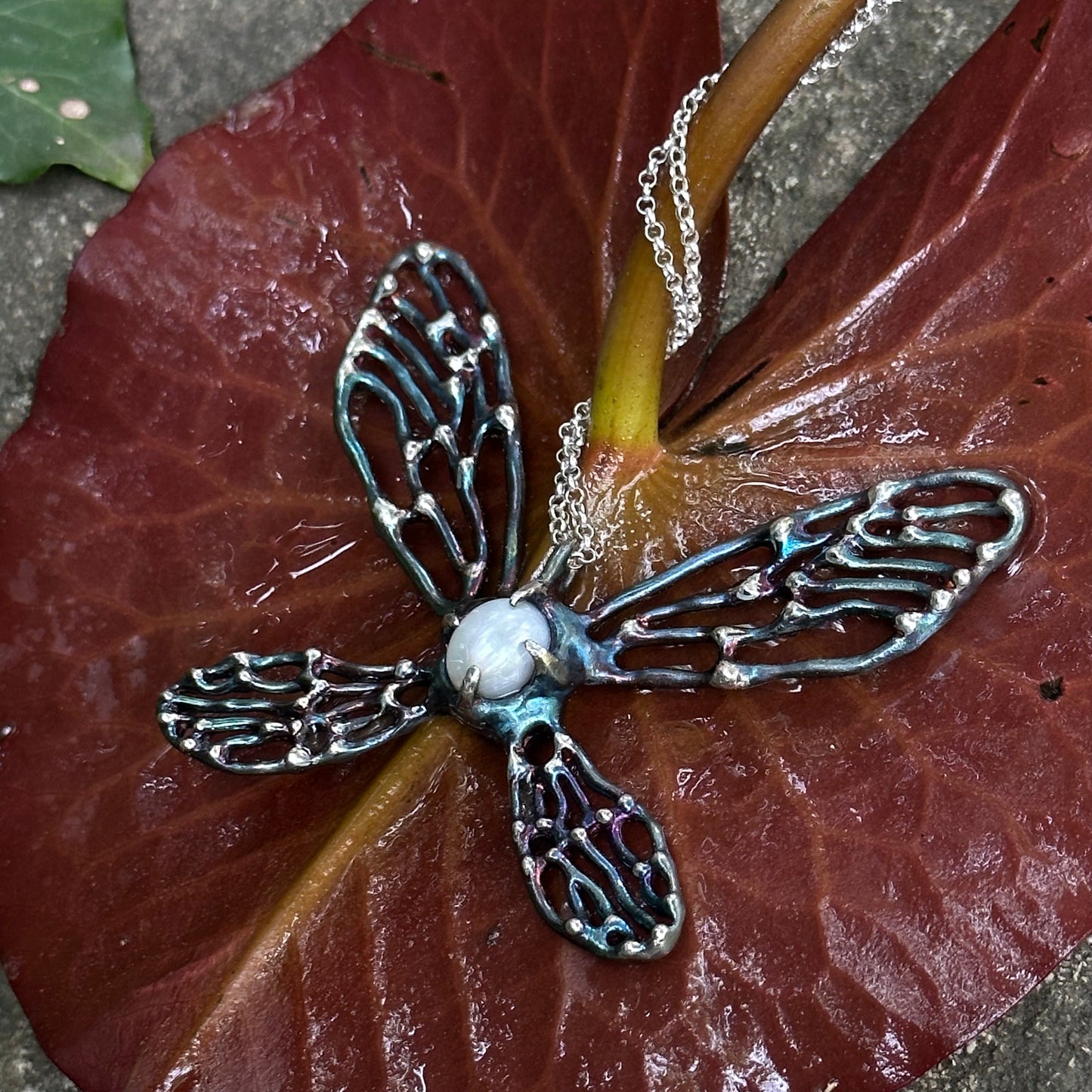 Metamorphosis