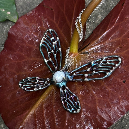 Metamorphosis