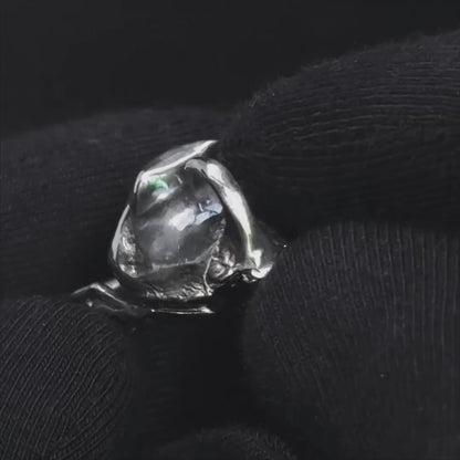 Rhinoceros beetle ring
