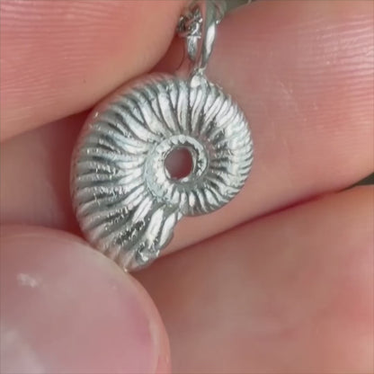 Ammonite pendant