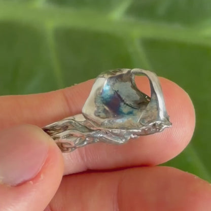 Rhinoceros beetle ring