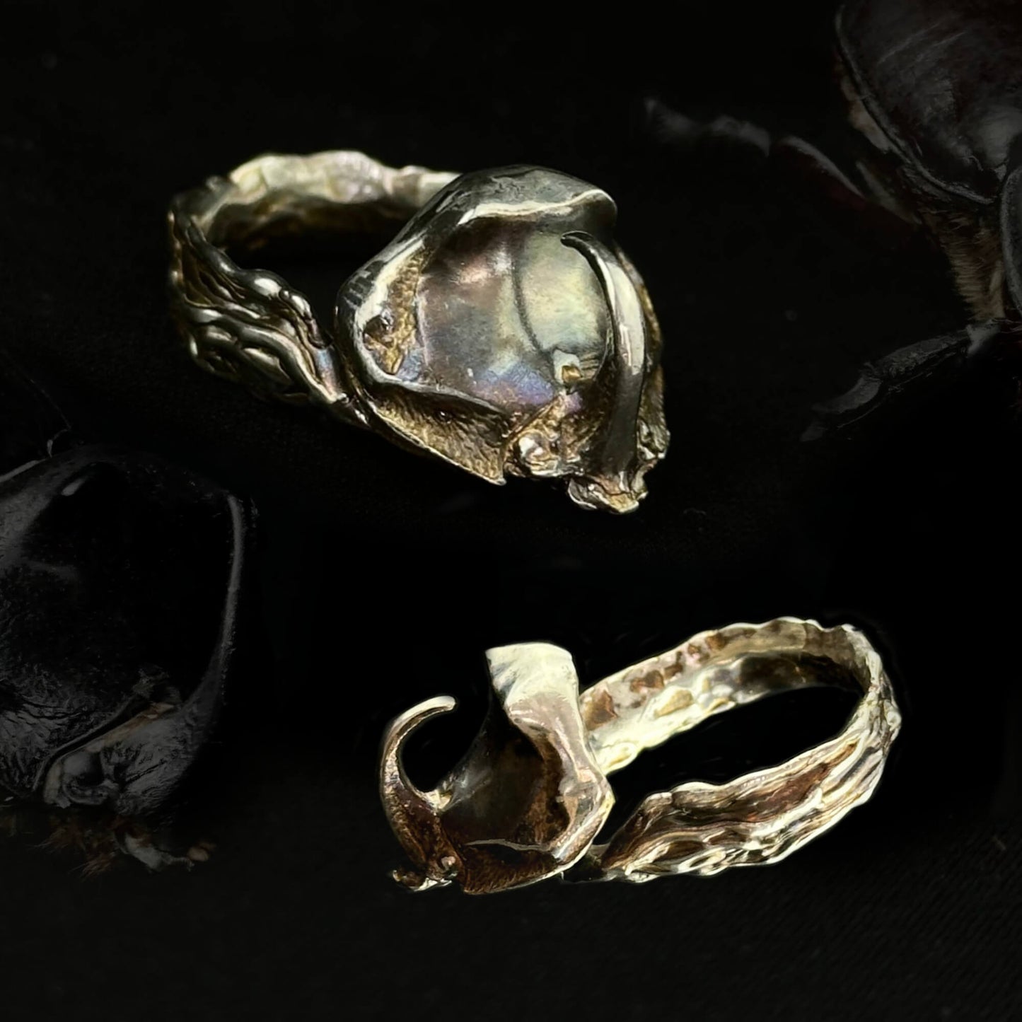 A close-up of the Rhinoceros Beetle Ring in silver, featuring an intricately detailed beetle head design with textured, organic elements on the band. The ring is displayed on a black background alongside real beetles, emphasizing its natural inspiration.