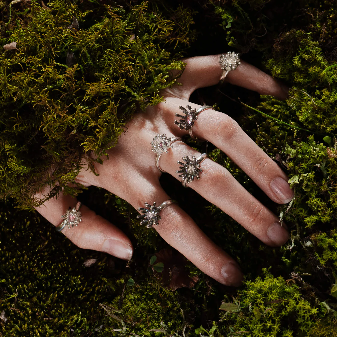 Silver Jewelry Inspired by Living forms